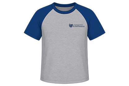 Raglan T-Shirt – Gray / Blue